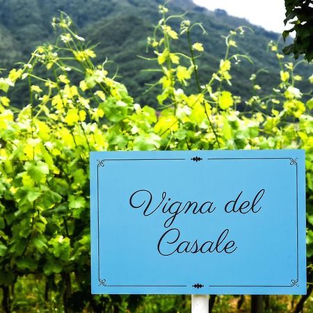 Agriturismo Guerritore Baronissi Eksteriør bilde