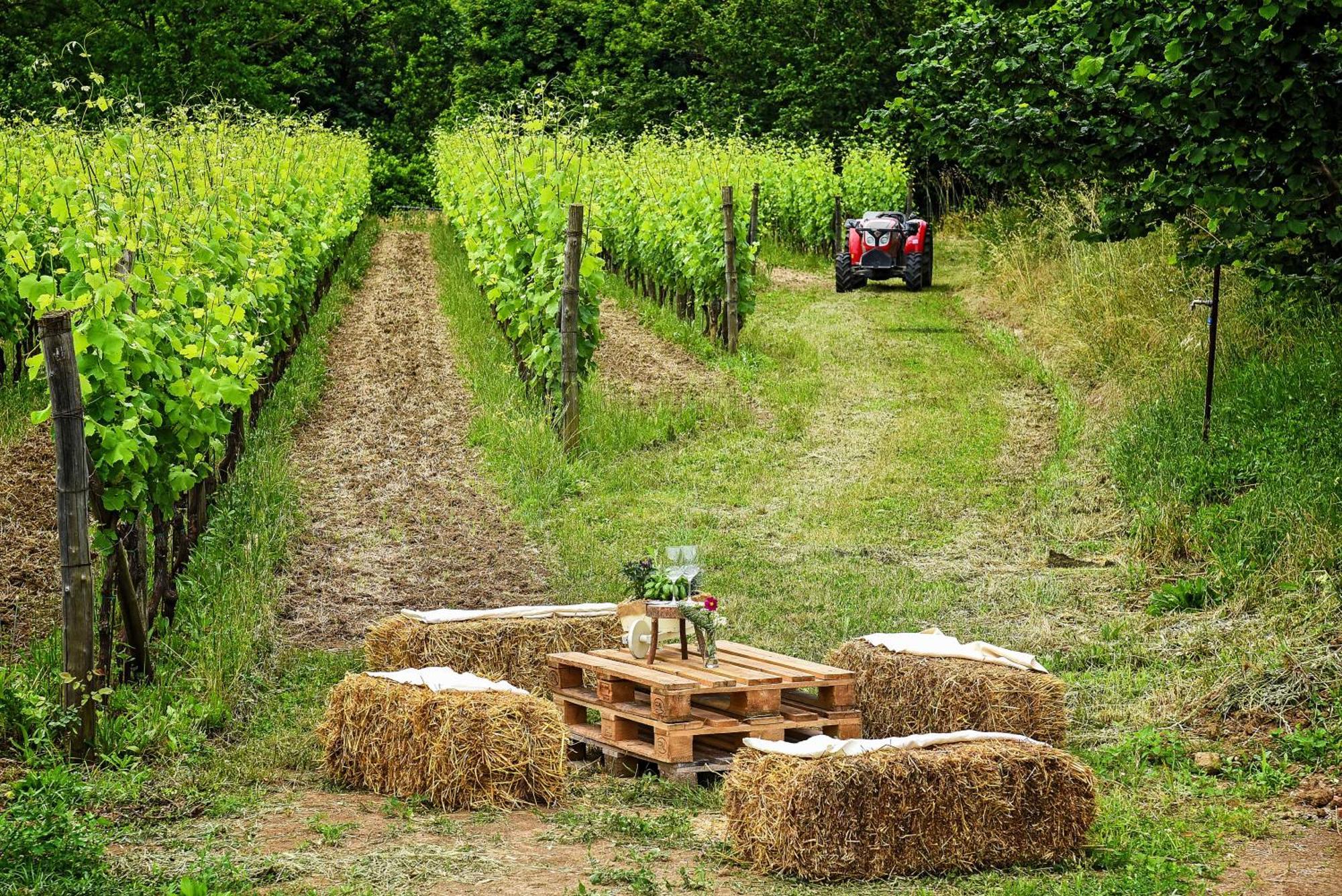 Agriturismo Guerritore Baronissi Eksteriør bilde