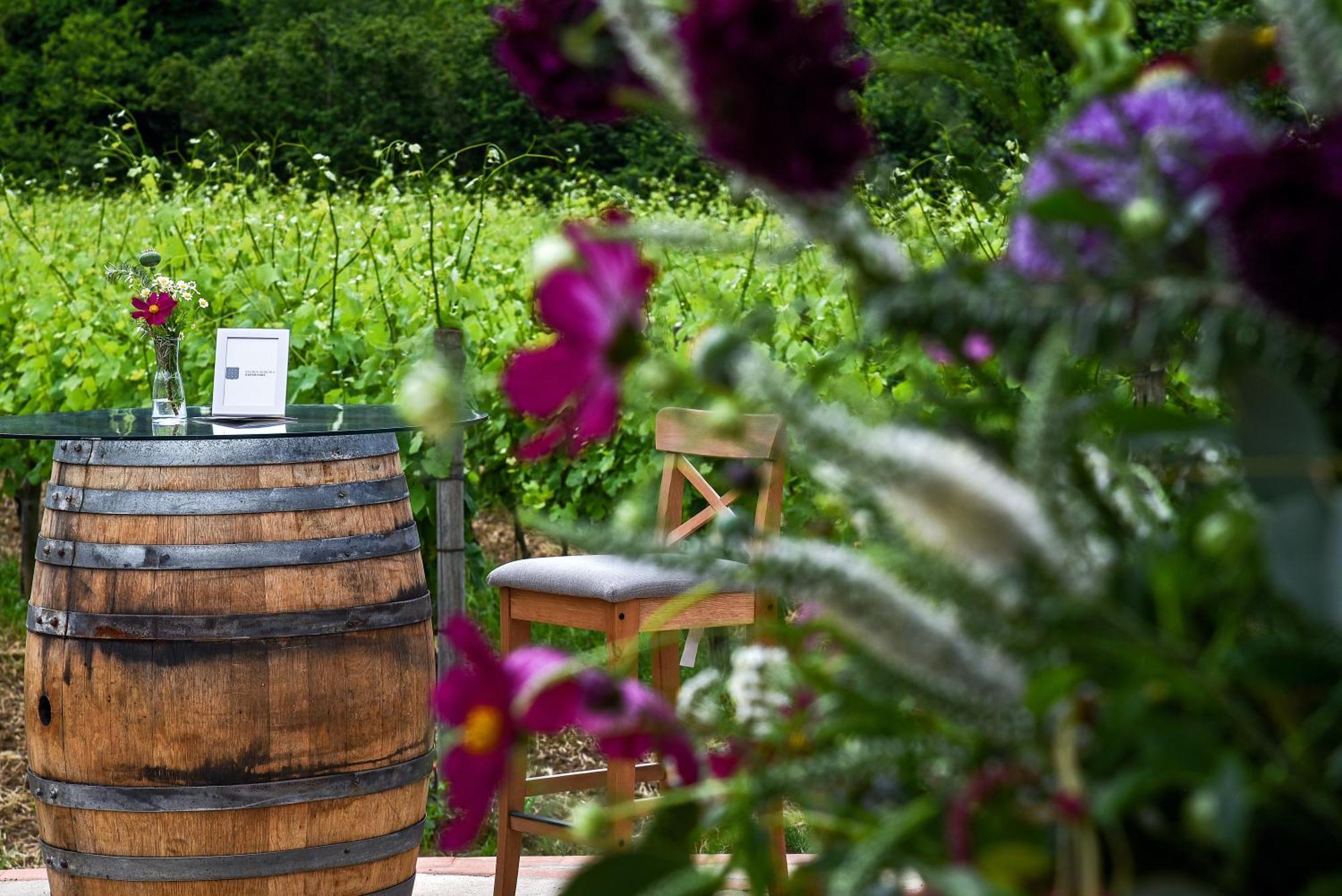 Agriturismo Guerritore Baronissi Eksteriør bilde